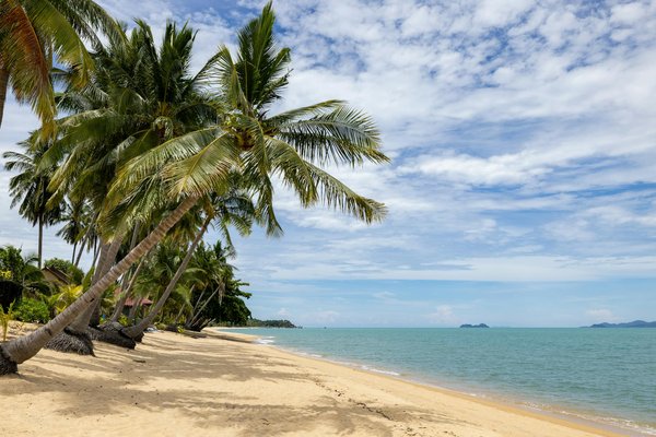 Profitez de la nature : les meilleurs campings bord de l'eau !